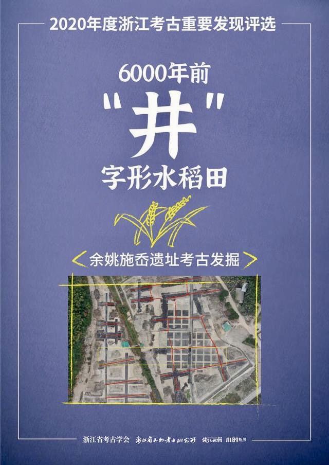  稻田|浙江史前考古重大发现! 余姚施岙遗址：最早古稻田在这里