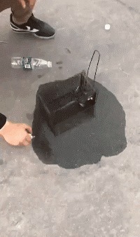 |搞笑GIF:伴娘你可真是有心计啊,这样藏鞋子谁能找得到啊