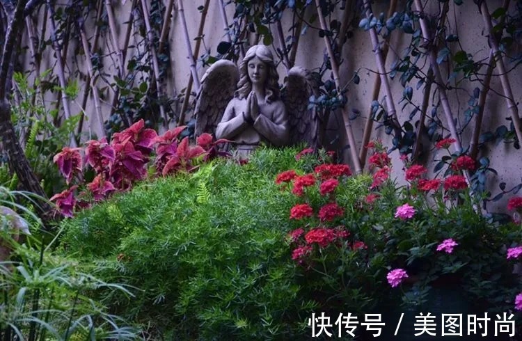 三角梅|120㎡别墅花园改造,经过三年的努力,小院从荒地到花开满园