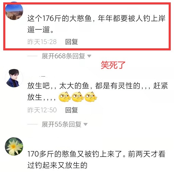 云龙湖|身形跟人一样长!江苏176斤大鱼又上钩了,钓鱼人:年年都要被钓上岸