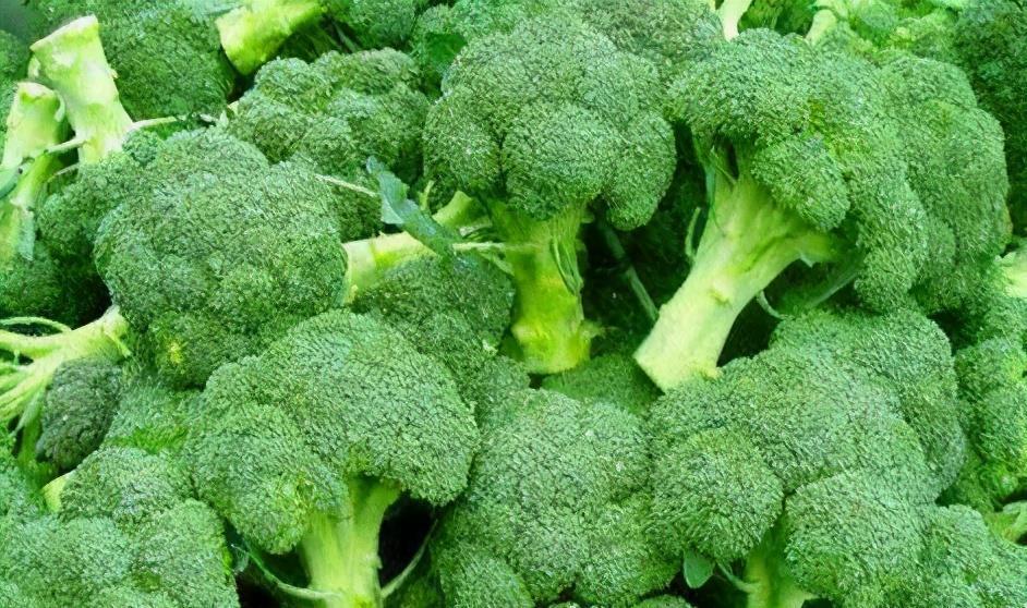 长寿|想长寿先养肝，坚持吃3种食物，能保护心脏，减轻疲劳，早吃早好