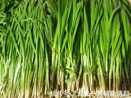 挥发油|立秋后,吃韭菜好处多,但不要与一物同食,却有很多人不清楚
