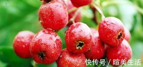 苦瓜|女人不想老得快,脸上爬满皱纹,3种食物,清除自由基,抗衰老