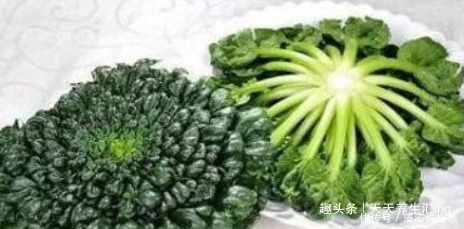 荠菜|女性不想老得快，推荐常吃4种食物，保护皮肤，美容抗衰老