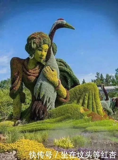 塑造|植物塑造出来的造型简直美炸了,你见过这样的植物吗?