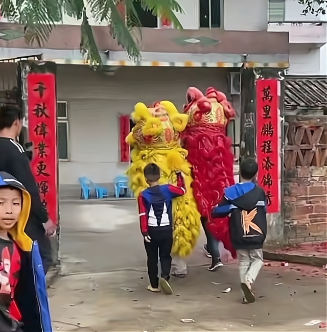 天才少女|全红婵老家欢度春节!举旗舞狮挨家拜年,红姐家成重点拜年对象
