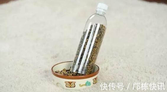 盒子|有些东西废物利用5样东西不要扔掉,稍加改造,带来惊喜