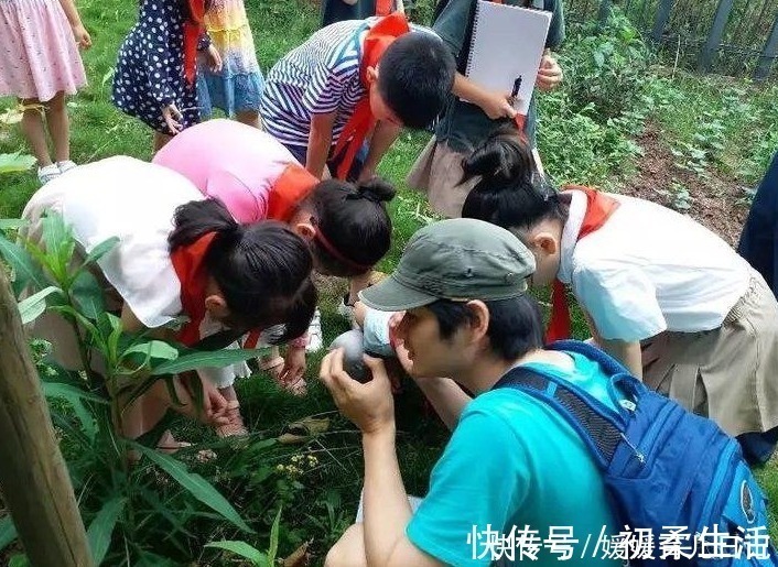 陶行知|孩子有这3种“奇怪行为”,是智商高的体现,父母不要强制纠正