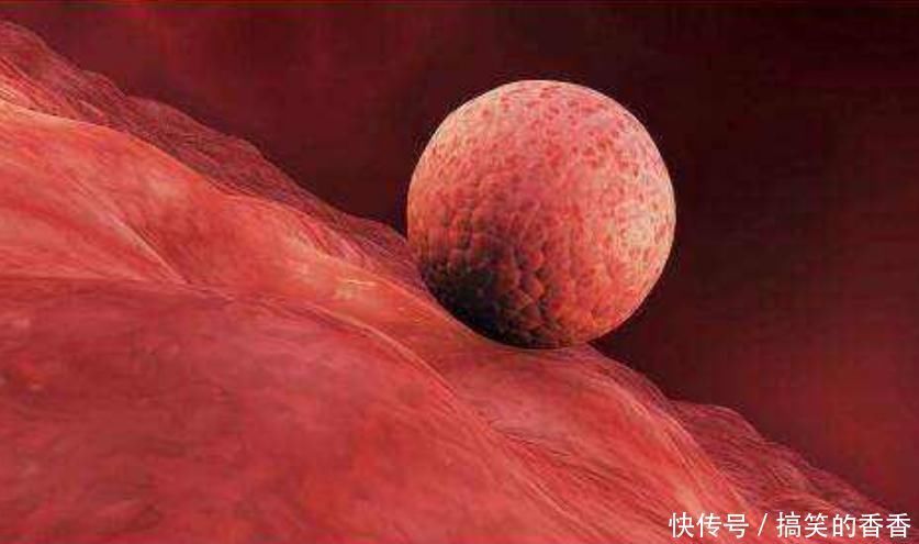 母乳|生完孩子,月经如果在“这个时间”来,证明宝妈子宫恢复的不错