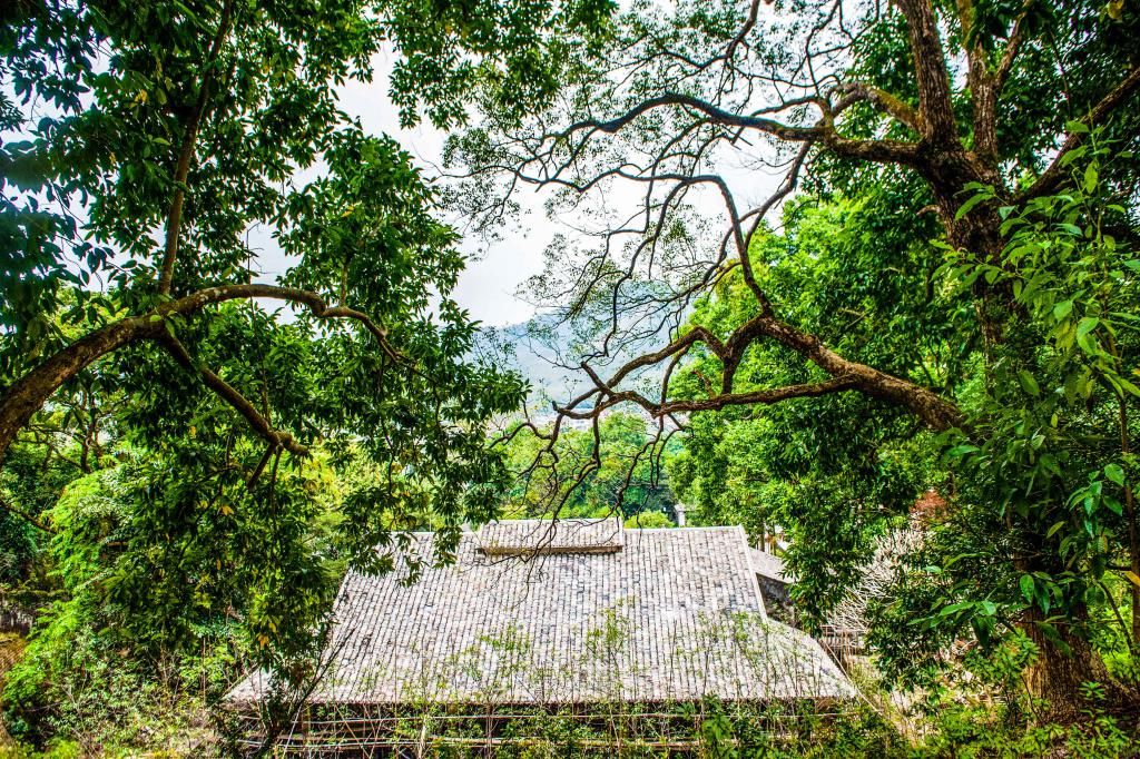 风景|我国最大的私人庄园之一，占地近400亩，风景可媲美江南园林！