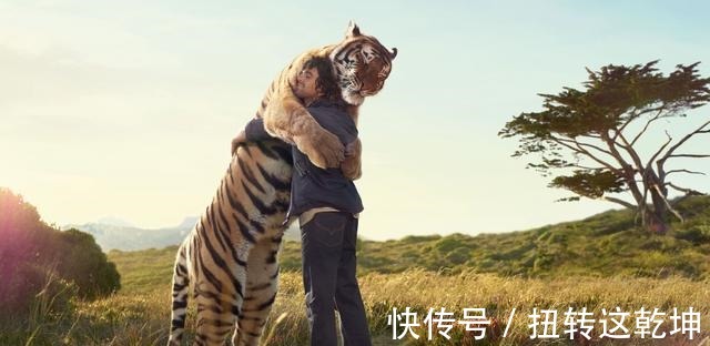 老虎|水浒中的武松赤手空拳打死老虎的可能性到底有多大!