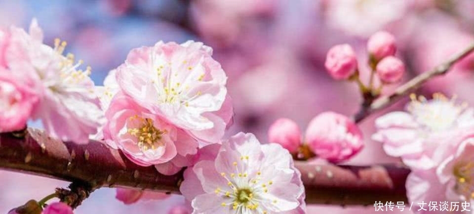 不去想|汪国真很感人的一首诗,写得很是真诚,犹如一盏灯照亮了远方的路