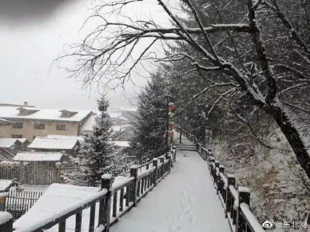 降雪|美！雪乡迎来第一场雪！