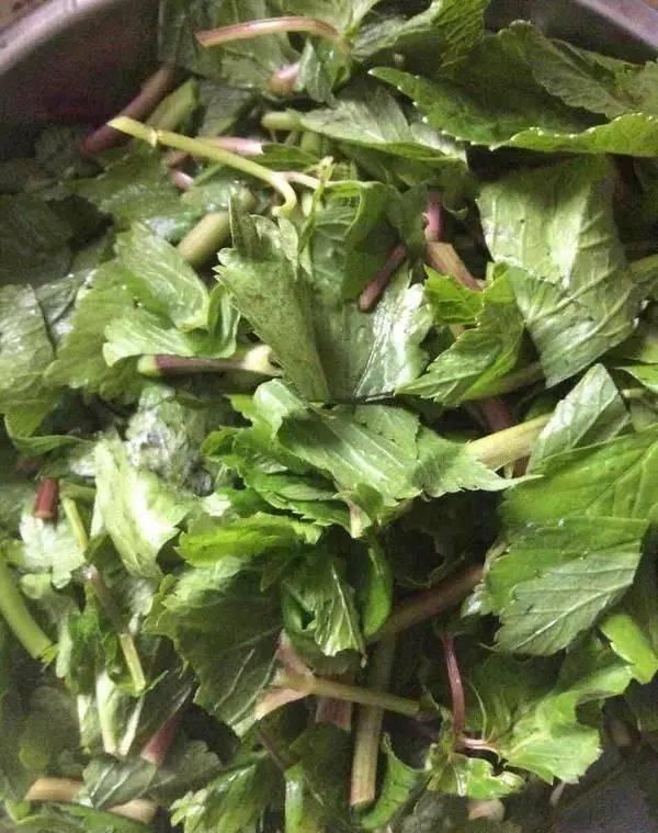  溜掉|它被称为“头号泻药”，口臭一定要经常吃，便秘可能也会悄悄溜掉