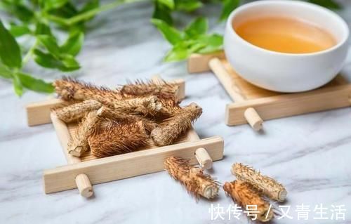 刺五加|一味中药分三种,一种祛风湿强筋骨,一种健脾、肺、肾,一种有毒