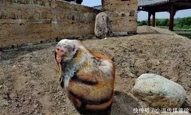 每块|还在疯狂的收藏奇石?只要给石头赋予“灵魂”,每块石头都是奇石