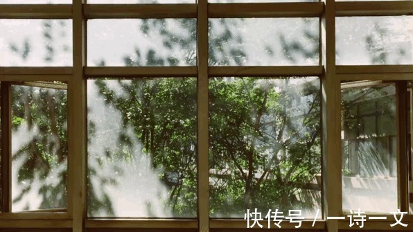 风雨|一草一木，都是人间风雨