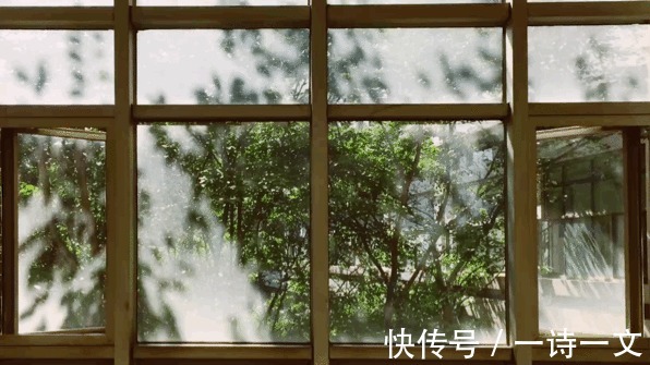 风雨|一草一木,都是人间风雨