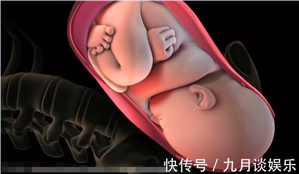 产妇|生孩子不只孕妈痛，宝宝在腹中也“拼了”！看完全过程被暖哭