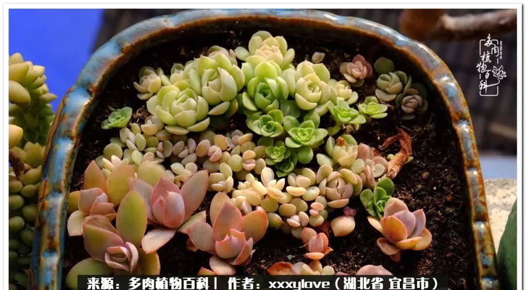 时光匆匆,一闪而逝,这世间万物的美,都值得被记录!