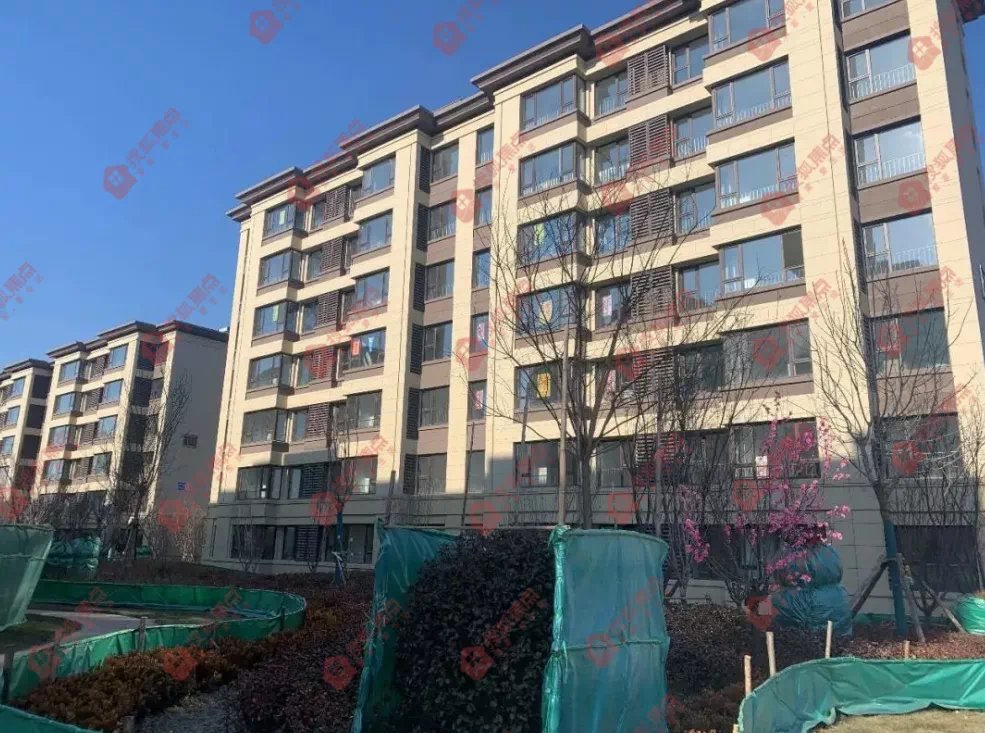 这家房企第一次来天津,第一个项目竟然做成这样……|验房季 | 天津