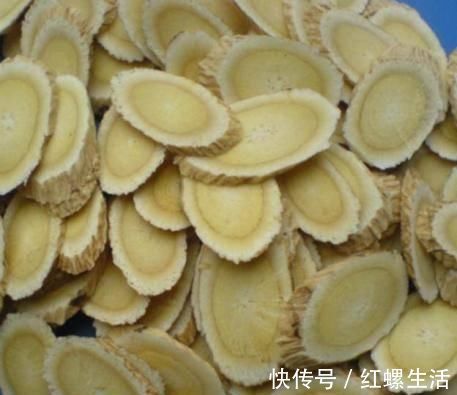 白术|脾胃失调的人,六种食物换着吃,健脾养胃,还能促进消化