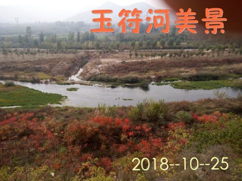 魂牵梦绕卧虎山水库|虎风虎韵齐鲁行 | 干活