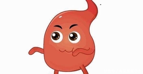 胃部|胃部的“抑菌王”找到了,医生坦言:平时敞开吃,胃好不生病
