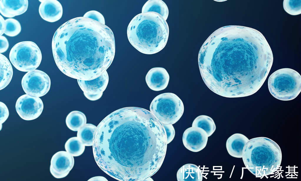 恶性肿瘤|两种结节出现之后,最好及时切除,时间长了会变成恶性肿瘤