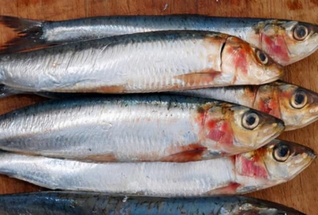 鱼贩子|含“寄生虫”最多的3种鱼,没营养还贵,鱼贩子从不给家人吃