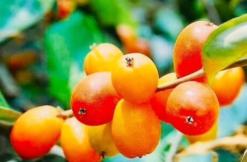 养颜|冬天要坚持吃三种食物，补水养颜，皮肤细腻，早吃早受益