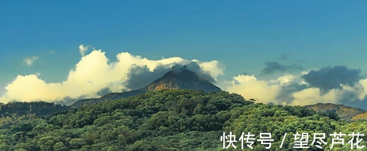 智商|心理学家:出现这3个迹象,说明你正在培养一个高智商的孩子