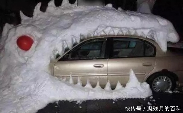 人无聊到爆的时候会干出什么事?看完这些奇葩的行为,我真服了