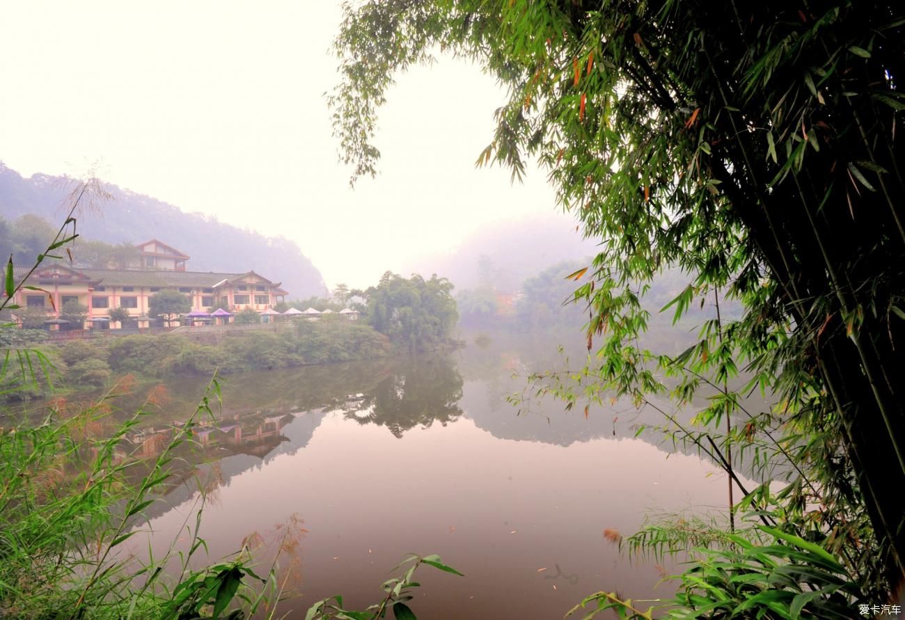 牛年逢春：云山林海領秀了大美峨眉山