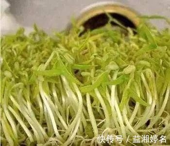 黄豆芽|黄豆芽和绿豆芽,都是豆芽,那营养一样吗?二者可是不同的哟~