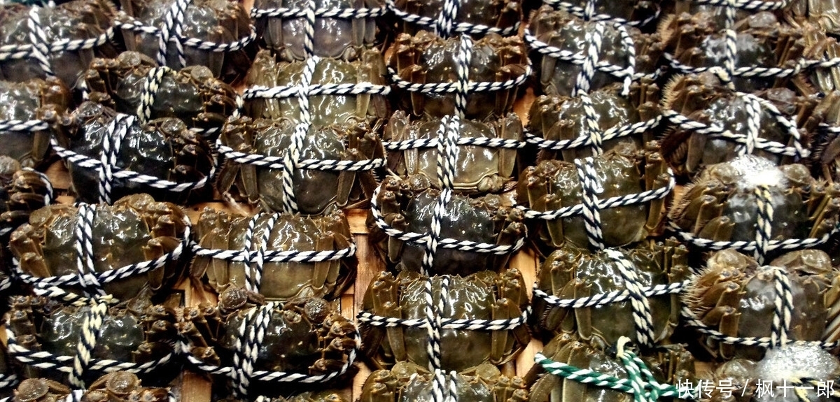 现一|大闸蟹之“殇”,曾卖80一斤,现一降再降,大闸蟹经历了什么?