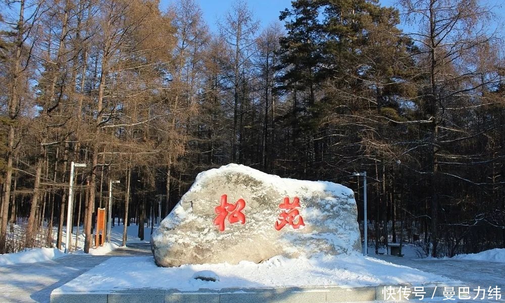 黑龙江|冬季旅游推荐-黑龙江漠河旅游，中国最美冬天的聚集地