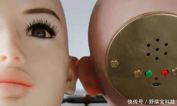 当代小说|一本关于伴侣机器人的当代小说——《弗兰肯斯坦:爱的故事》