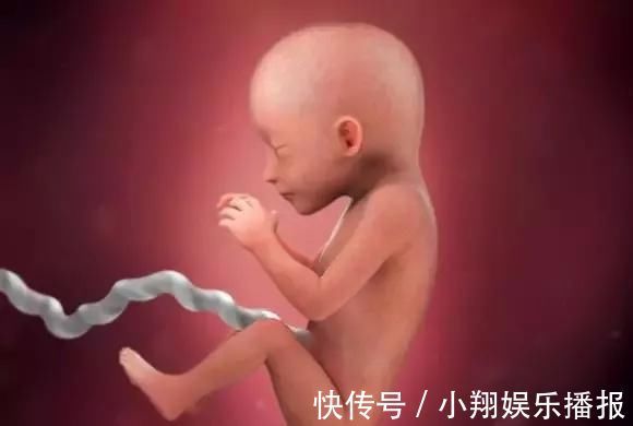 皮下脂肪|子宫内胎儿0~40周,发育变化全过程,太神奇了!