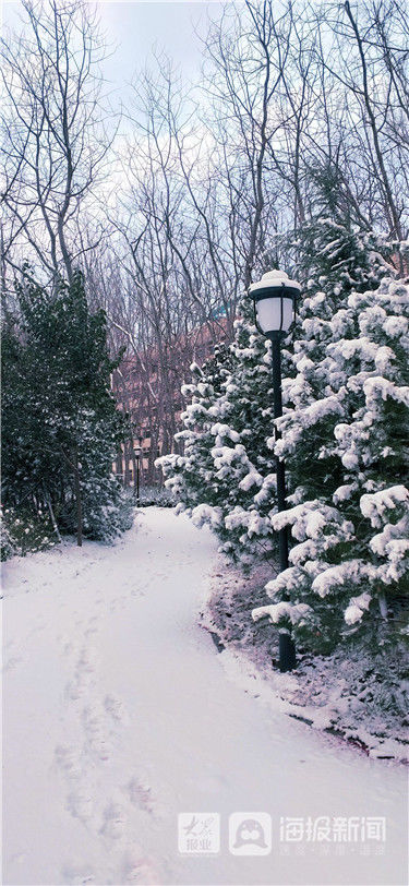 大雪|烟台今年的第一场大雪来啦!