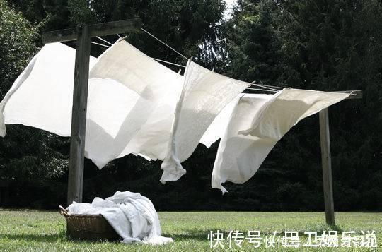 食醋|家养花草得会浇水:盆栽植物远离4种''索命水'',越长越旺盛