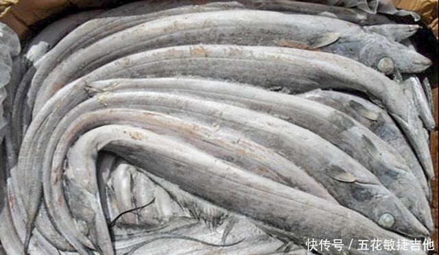  同一条鱼，凭什么价格差5倍，老渔夫告诉你，买到好带鱼的窍门