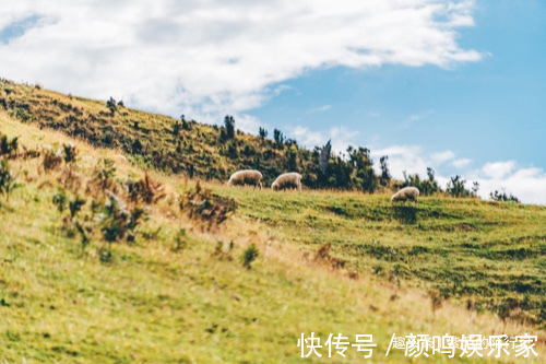 大洋路|澳大利亚最美的海滨公路，风光壮美，还有澳洲地标！