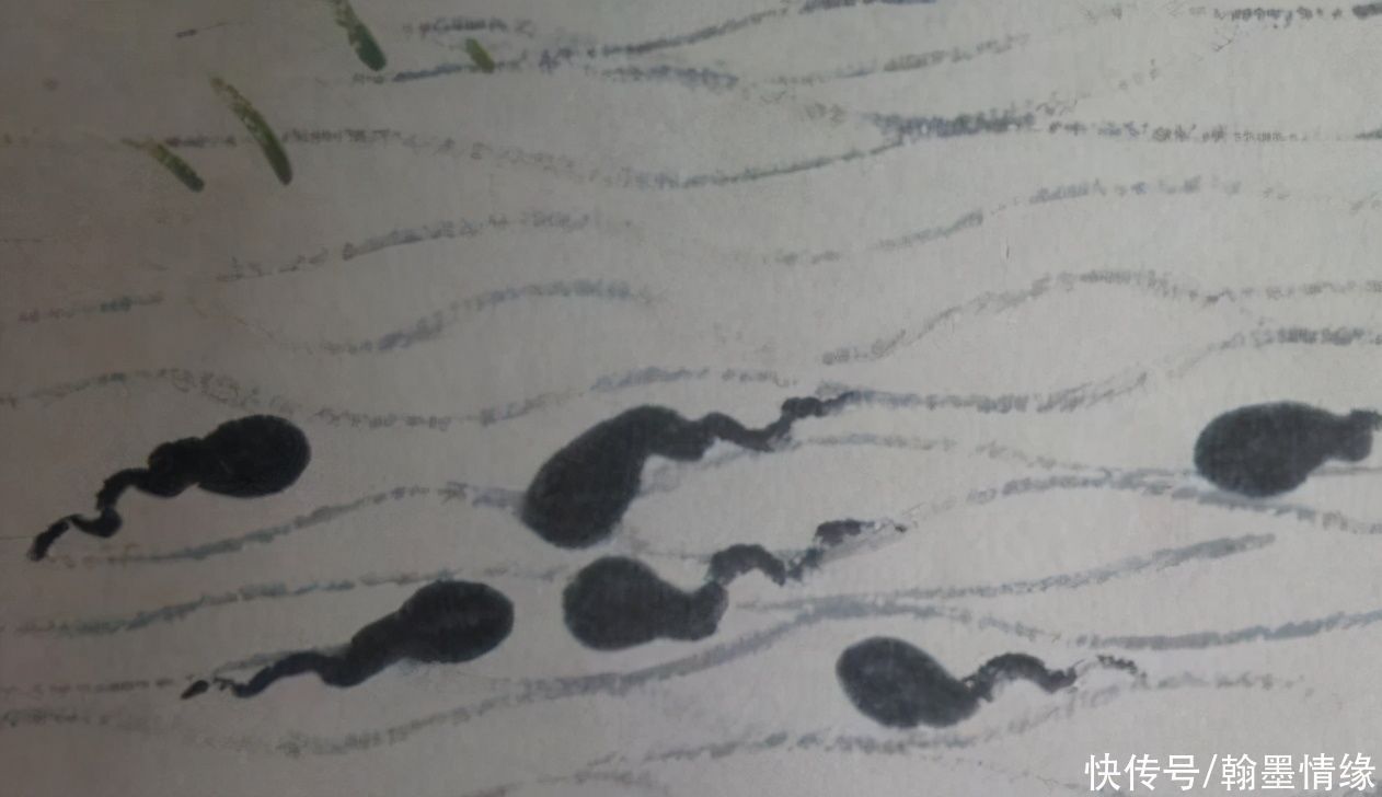 艺术&齐白石91岁画6只蝌蚪,价值破亿!专家:放大10倍,发现艺术秘密