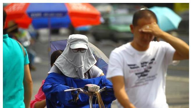 常吃|三伏将至，不要只会吃素，这3种肉要常吃，顺应时节，安稳过伏天