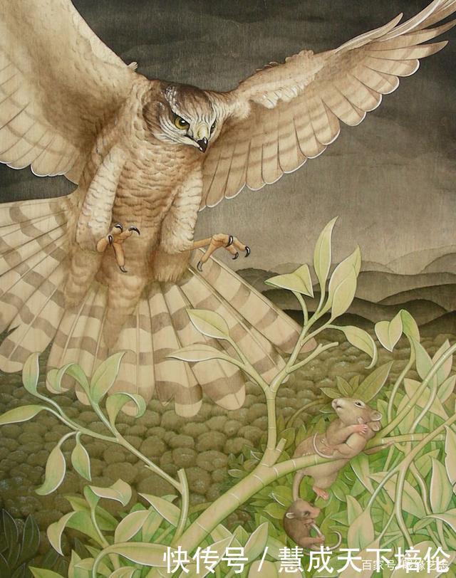 感恩|博齐奇的自然幻境异想天开的科学艺术,感恩生命的生物美学