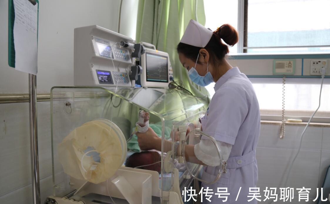 个头|五斤和八斤的新生儿,差距最大的不是个头,而是这三个潜在方面