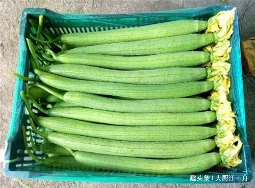 炒丝瓜时，很多人第一步就做错了，难怪炒的丝瓜发黑没食欲