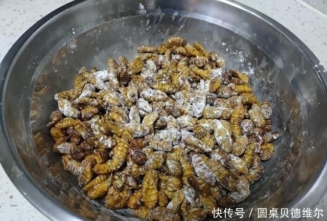 蚕蛹|大爷早市卖它，没人识货，10元一斤我直接包圆，吃后才知道赚大了
