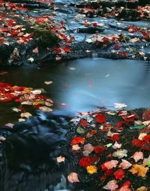 中老年人|50岁以后,不要自作多情